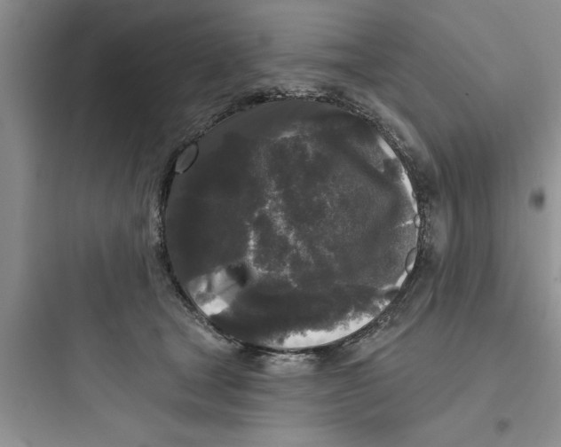 X0000097610465200803211727