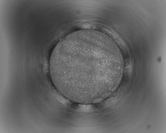 X0000097610469200803211727