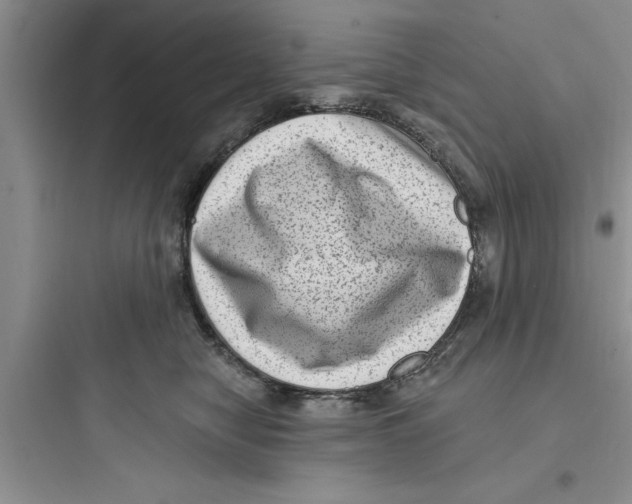 X0000097610470200803211727