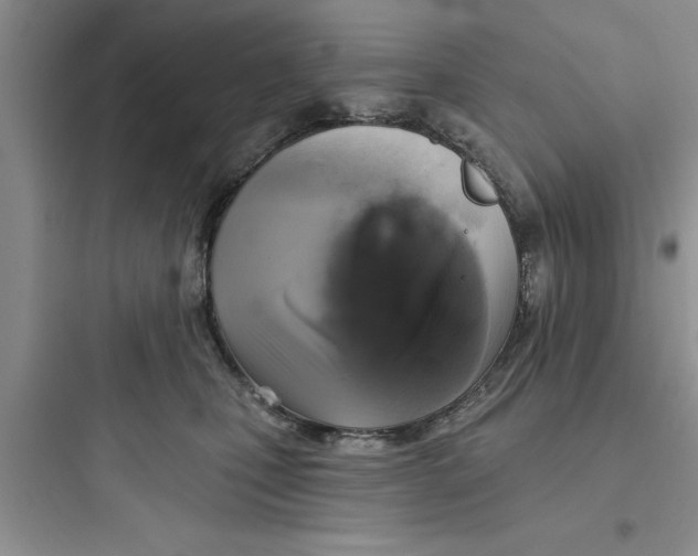 X0000097610471200803211727