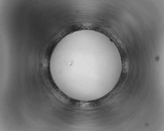 X0000097610472200803211727