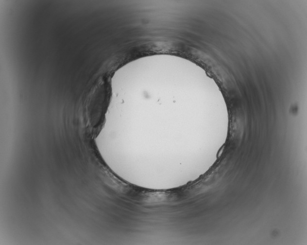 X0000097610473200803211727