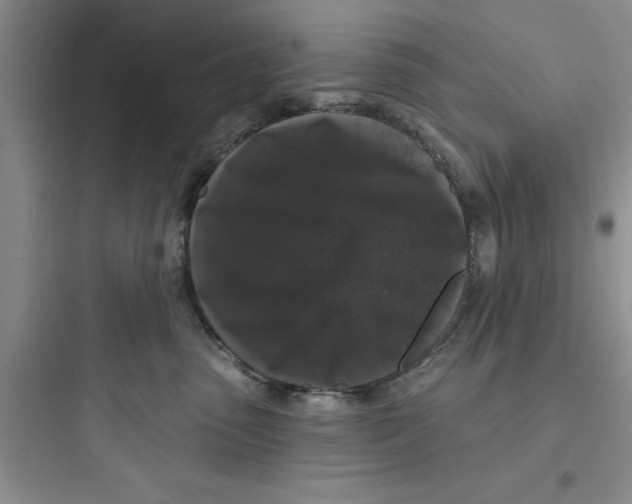 X0000097610475200803211727