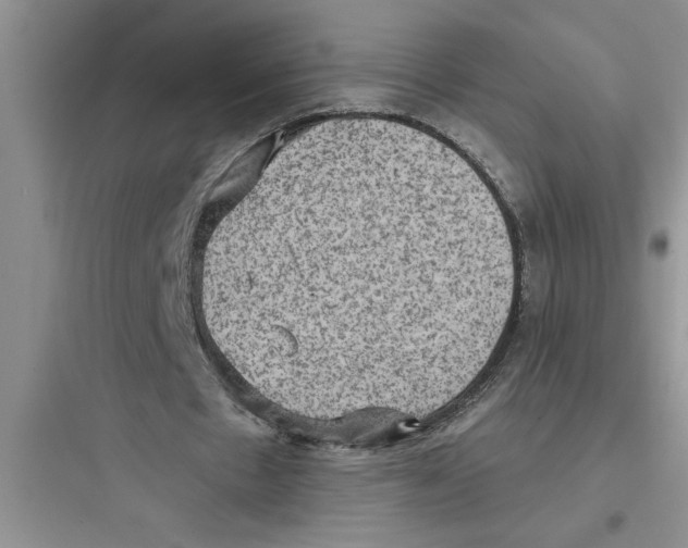 X0000097610481200803211726