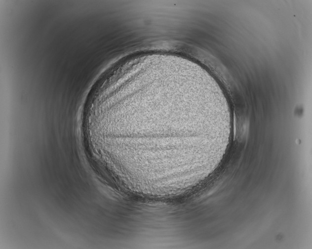 X0000097610483200803211726