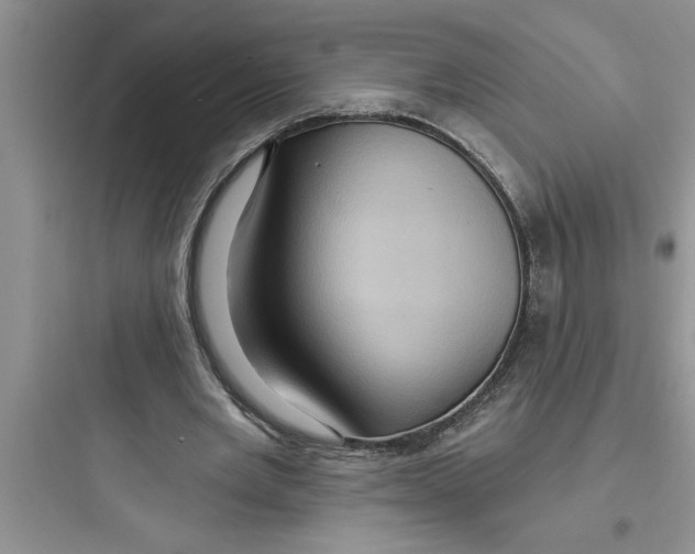 X0000097610485200803211726