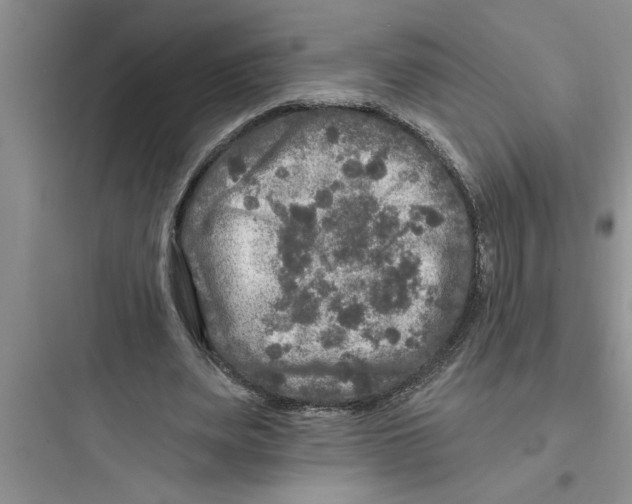 X0000097610487200803211726