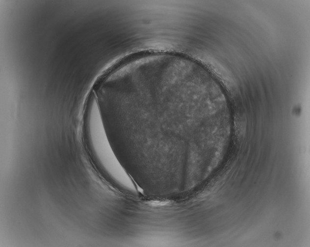 X0000097610488200803211726