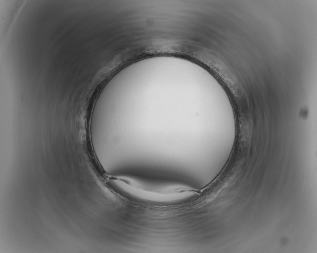 X0000097610489200803211726