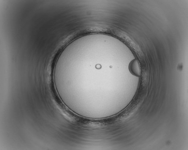 X0000097610490200803211726