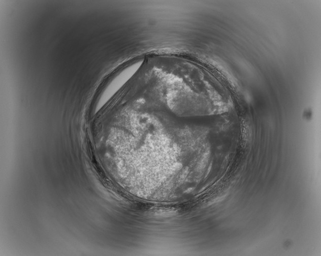 X0000097610491200803211726