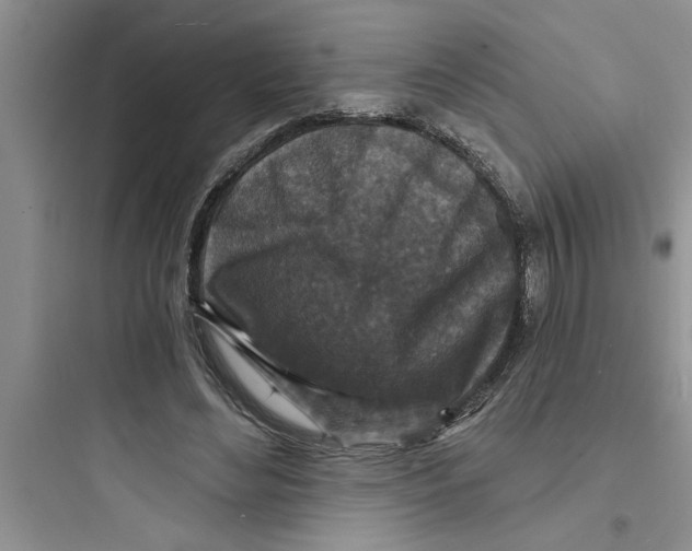 X0000097610492200803211726