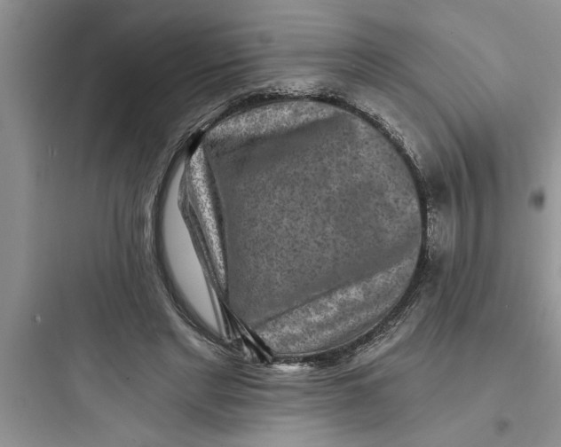 X0000097610493200803211726