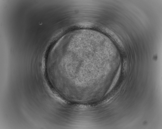 X0000097610494200803211726