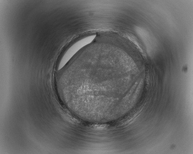 X0000097610495200803211726