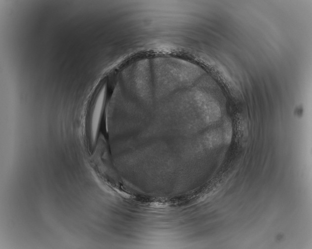 X0000097610496200803211726