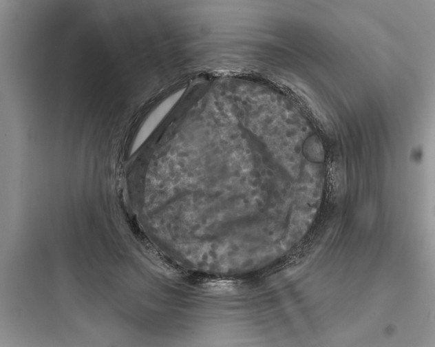 X0000097610499200803211726