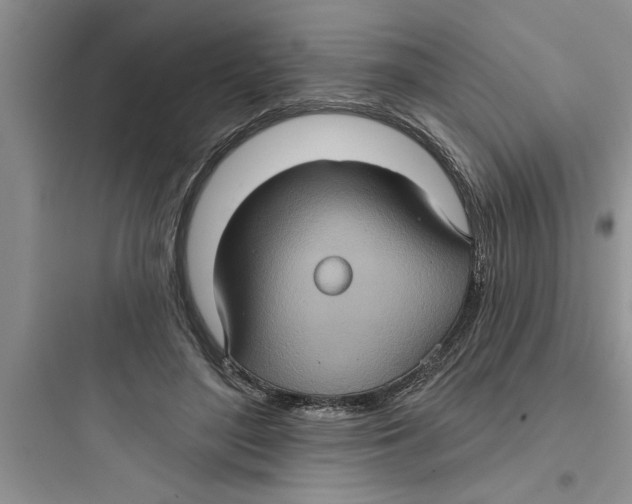 X0000097610500200803211726