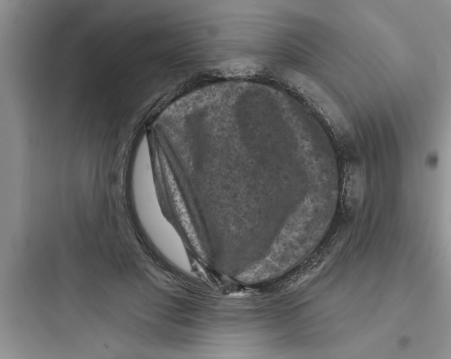 X0000097610501200803211726