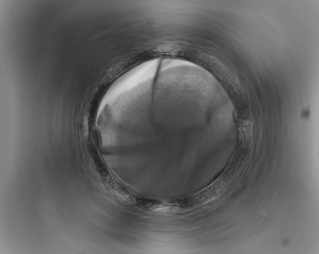 X0000097610504200803211726