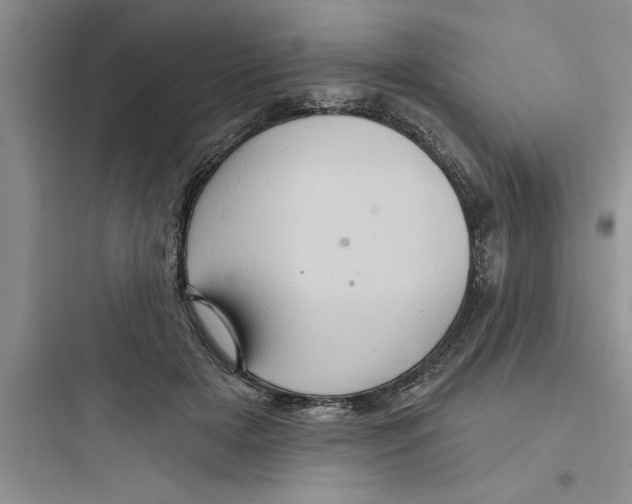 X0000097610505200803211726