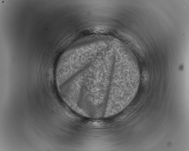 X0000097610506200803211726