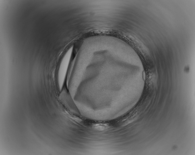 X0000097610508200803211726