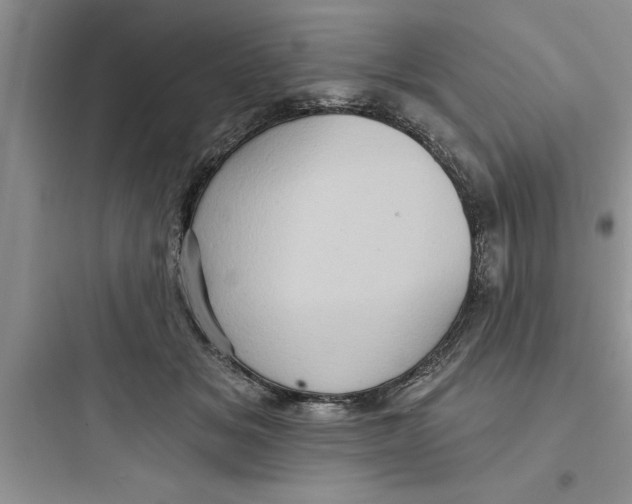 X0000097610509200803211726