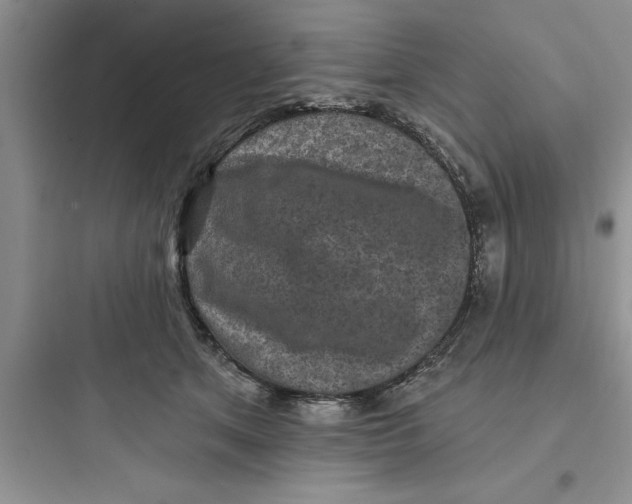 X0000097610513200803211726