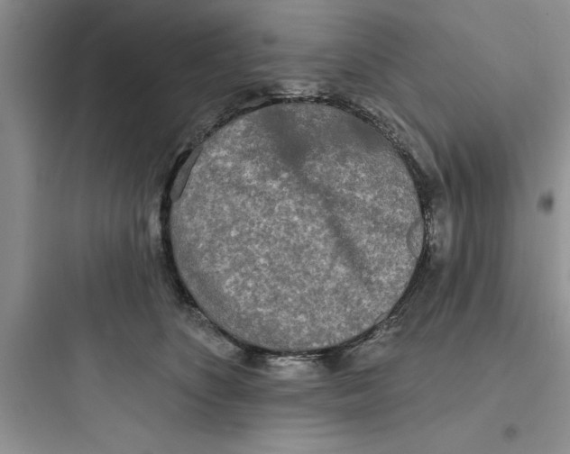 X0000097610516200803211726