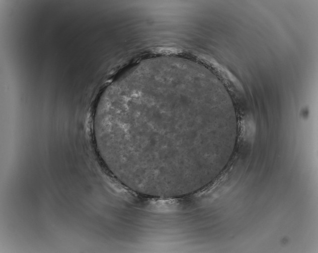 X0000097610517200803211726