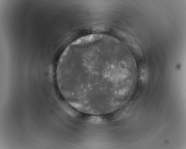 X0000097610519200803211726