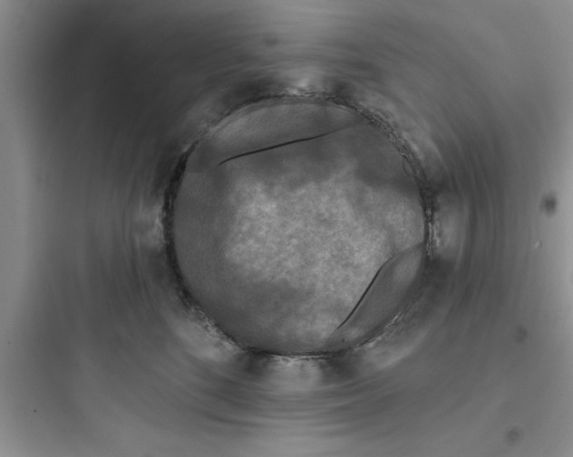 X0000097610520200803211726