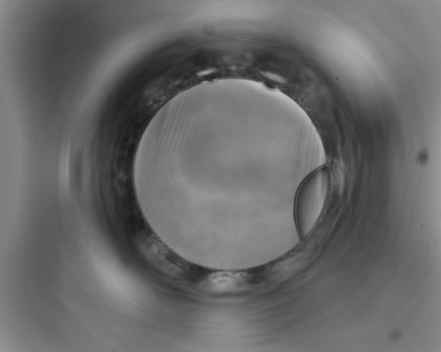 X0000097610526200803211725