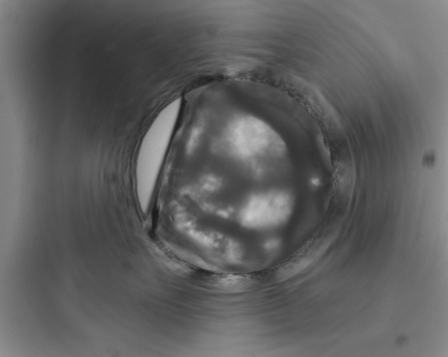 X0000097610527200803211725