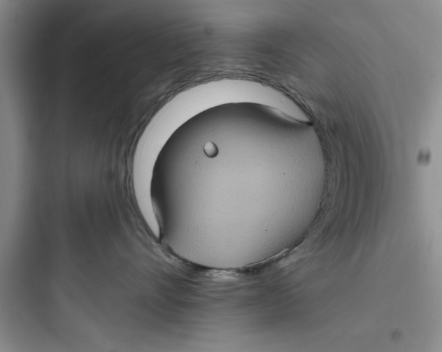 X0000097610528200803211725