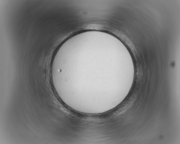 X0000097610529200803211725