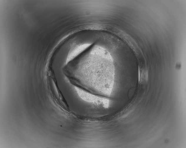 X0000097610531200803211725