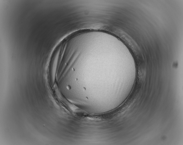 X0000097610532200803211725