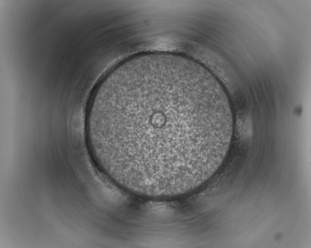 X0000097610534200803211725