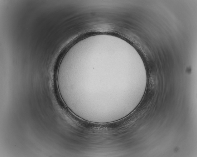 X0000097610535200803211725