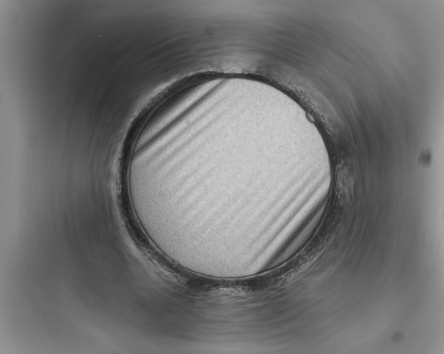 X0000097610536200803211725