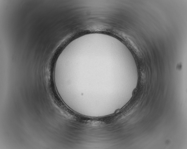 X0000097610539200803211725