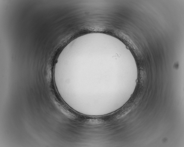 X0000097610541200803211725