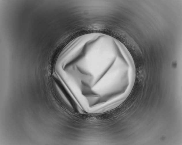 X0000097610544200803211725