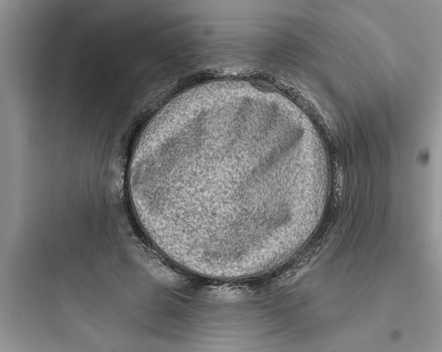 X0000097610545200803211725