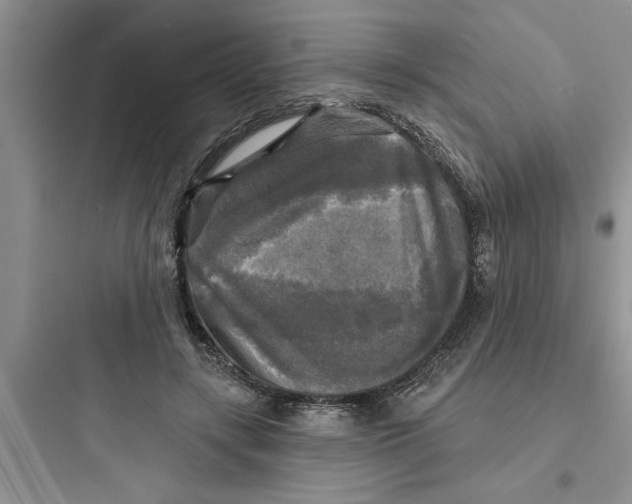 X0000097610547200803211725