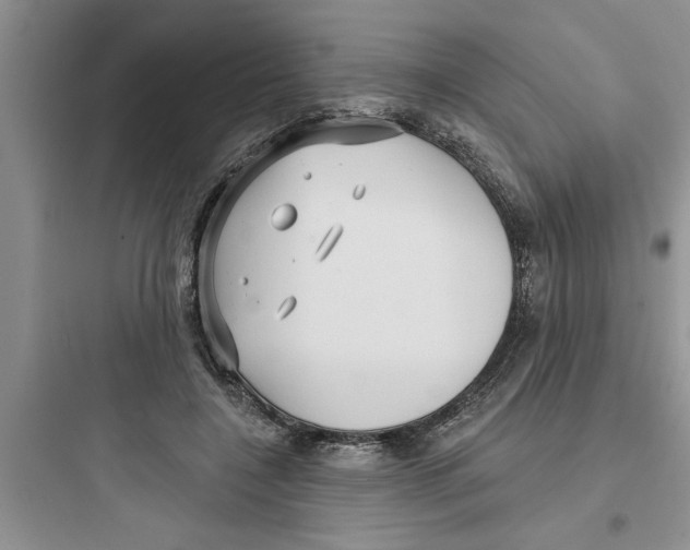 X0000097610548200803211725