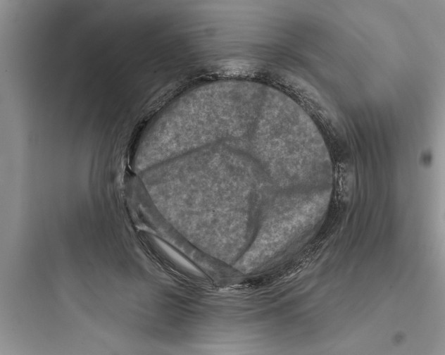 X0000097610550200803211725