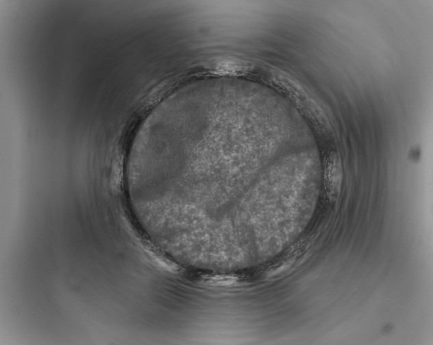 X0000097610554200803211725